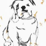Pet 01 by SANTHOSH C H
