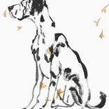 Pet 04 by SANTHOSH C H