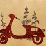 Collection Praful