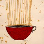 Collection Praful