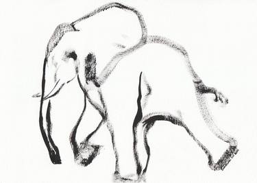 Elephant 131 thumb