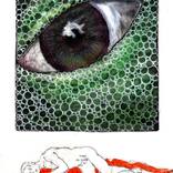 Dragon's Eye by Steve Ferris