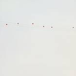 Collection Artist Alec Soth