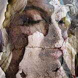 Face by Berni Stephanus