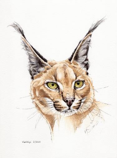 Original Figurative Cats Drawings by Lilla Varhelyi