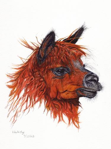 Print of Realism Animal Drawings by Lilla Varhelyi