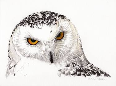 Original Figurative Animal Drawings by Lilla Varhelyi