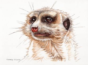 Original Animal Drawings by Lilla Varhelyi