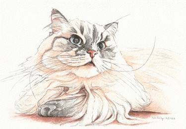 Original Cats Paintings by Lilla Varhelyi