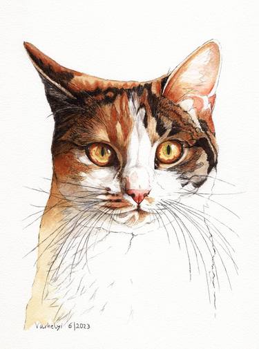 Original Cats Drawings by Lilla Varhelyi