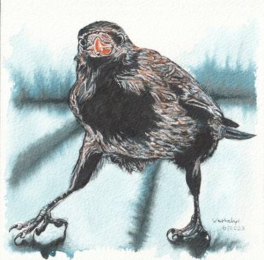 Raven 15 Crow thumb
