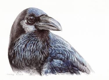 Blue Crow thumb