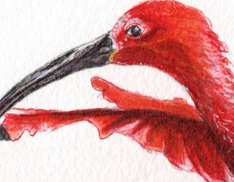 Original Figurative Animal Drawing by Lilla Varhelyi