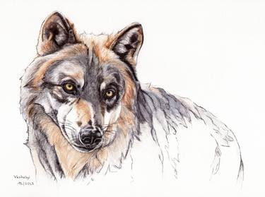 Original Animal Drawings by Lilla Varhelyi