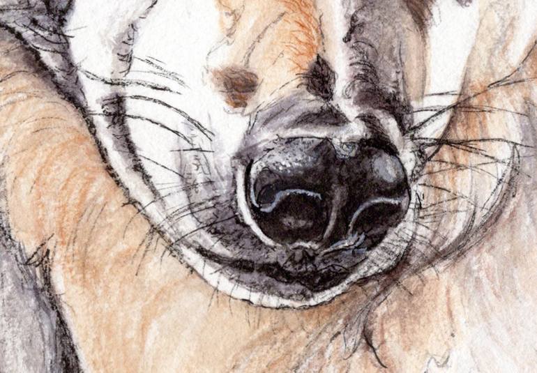 Original Animal Drawing by Lilla Varhelyi