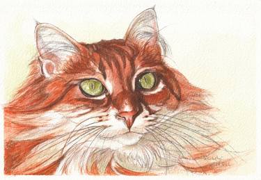 Original Cats Drawings by Lilla Varhelyi