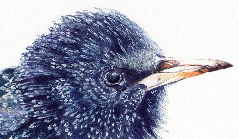 Original Animal Drawing by Lilla Varhelyi