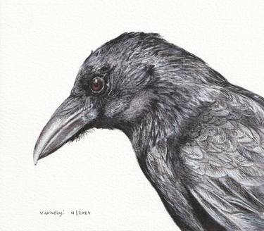 Print of Figurative Animal Drawings by Lilla Varhelyi