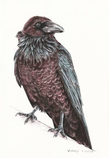 Original Figurative Animal Drawings by Lilla Varhelyi