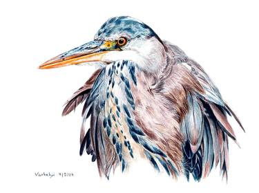 Original Figurative Animal Drawings by Lilla Varhelyi