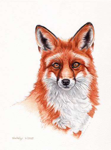 Original Figurative Animal Drawing by Lilla Varhelyi