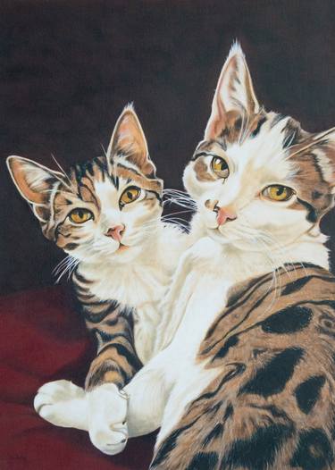 Original Realism Cats Paintings by Lilla Varhelyi