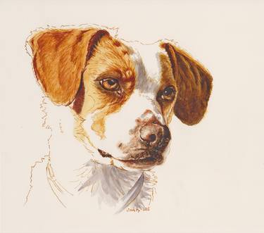 Print of Realism Dogs Drawings by Lilla Varhelyi