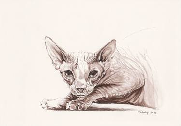 Original Figurative Cats Drawings by Lilla Varhelyi