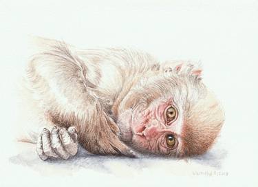 Original Figurative Animal Drawings by Lilla Varhelyi