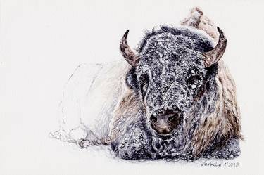 Original Figurative Animal Drawings by Lilla Varhelyi