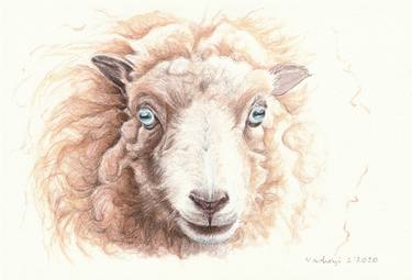 Original Animal Drawings by Lilla Varhelyi