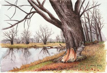 Print of Tree Drawings by Lilla Varhelyi