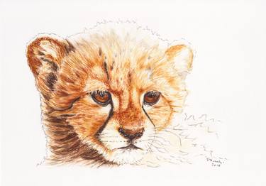 Original Figurative Cats Drawings by Lilla Varhelyi