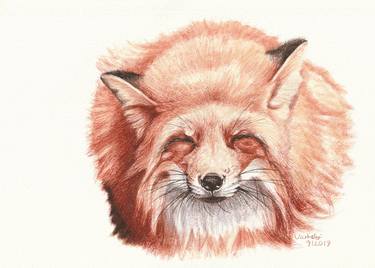 Original Figurative Animal Drawings by Lilla Varhelyi