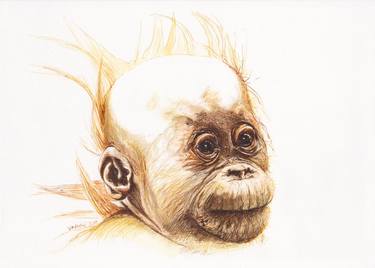 Original Figurative Animal Drawings by Lilla Varhelyi