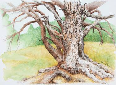 Print of Figurative Tree Drawings by Lilla Varhelyi