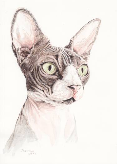 Original Figurative Cats Drawings by Lilla Varhelyi