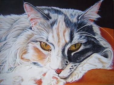 Print of Cats Paintings by Lilla Varhelyi