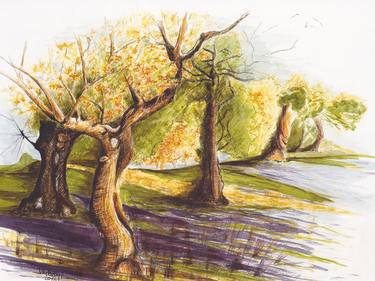 Print of Illustration Tree Drawings by Lilla Varhelyi