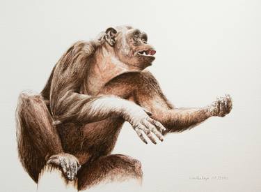 Original Figurative Animal Drawings by Lilla Varhelyi