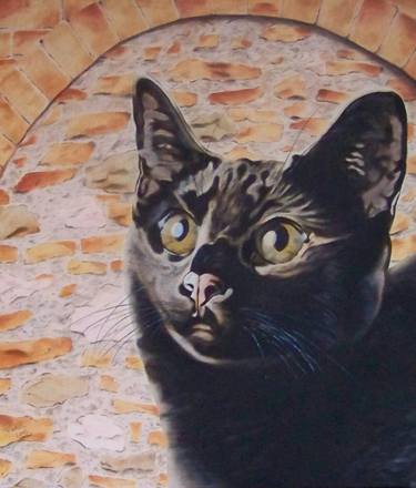 Original Cats Paintings by Lilla Varhelyi