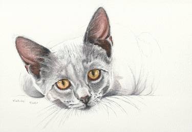 Original Figurative Cats Drawings by Lilla Varhelyi