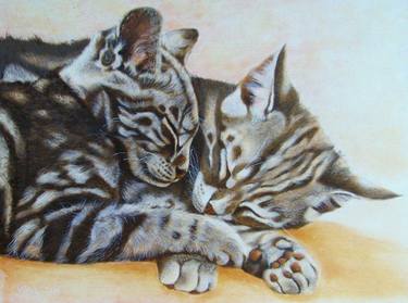 Print of Figurative Cats Paintings by Lilla Varhelyi