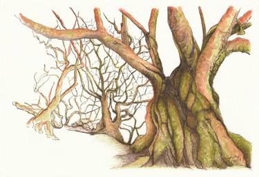 Print of Figurative Tree Drawings by Lilla Varhelyi