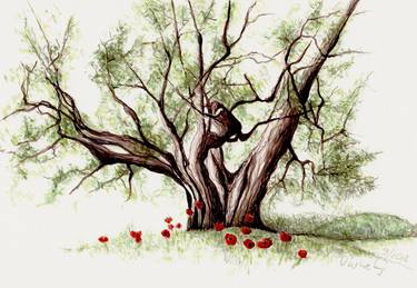 Print of Illustration Tree Drawings by Lilla Varhelyi