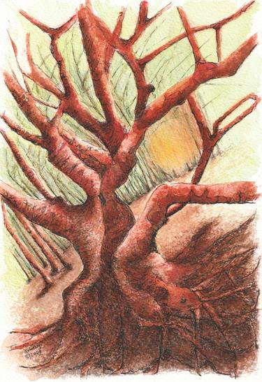 Print of Figurative Tree Drawings by Lilla Varhelyi