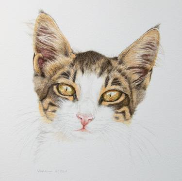 Print of Figurative Cats Drawings by Lilla Varhelyi