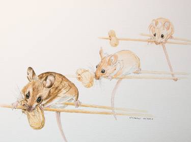 Print of Animal Drawings by Lilla Varhelyi