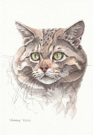 Original Figurative Cats Drawings by Lilla Varhelyi