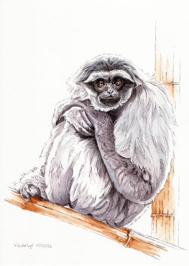 Original Figurative Animal Drawings by Lilla Varhelyi